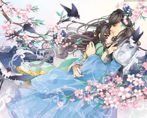 红桃影视官方网站
